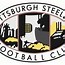 Image result for Pittsburgh Steelers Wordmark Logo