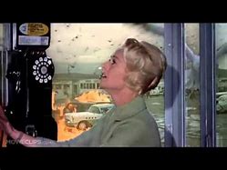 Image result for Phone Booth in the Birds Movie