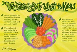 Image result for Vegan Defin