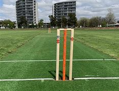 Image result for Middle Stump