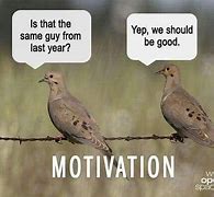 Image result for Funny Dove-Hunting Memes