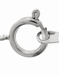 Image result for Spring Ring Clips