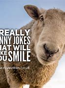 Image result for Jokes for Fun