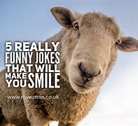 Image result for Actual Good Jokes