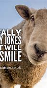 Image result for Really Funny Things