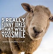 Image result for Good Funny Jokes to Tell