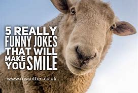 Image result for Funny Jokes Literally