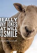 Image result for Funny Jokes About Facebook