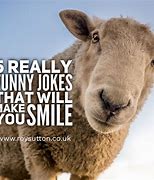 Image result for Funny Jokes Facebook Posts