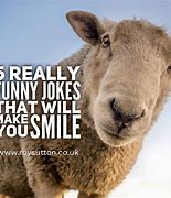 Image result for Clever Jokes