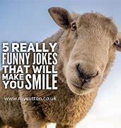 Image result for 5 Funny Jokes