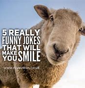 Image result for 20 Funny Jokes