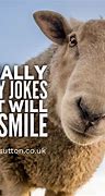 Image result for Funniest Pic About It