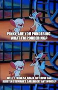 Image result for pinky and the brain memes