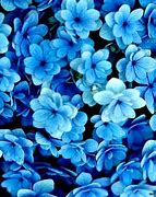 Image result for Famous Blue Floral Wallpaper
