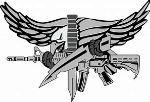 Image result for Swat Eagle