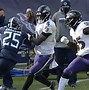 Image result for 2019 NFL Playoffs Titans Raven's Wild Cards