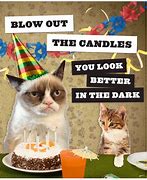 Image result for Grumpy Cat Happy Birthday Bird