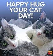 Image result for Hug Your Cat Day