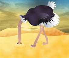Image result for Ostrich Put Head in Sand