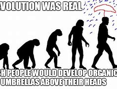 Image result for Human Evolution Meme