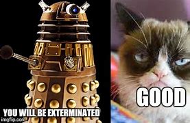 Image result for Dr Cat Meme