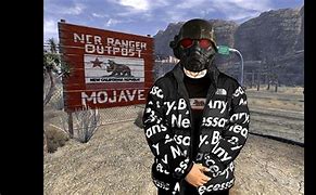 Image result for The Platinum Drip Fallout New Vegas
