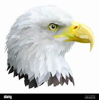 Image result for Eagle Head Illustration