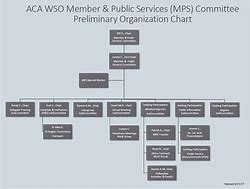 Image result for MPs Org Chart
