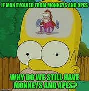 Image result for Human Monkey Evolution Meme