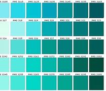 Image result for Midas Touch Colour Hex