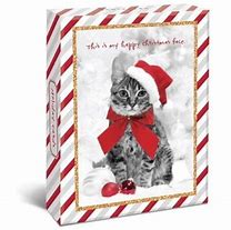 Image result for box cats holiday card target