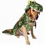 Image result for Dog with Croc On Head Meme