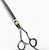 Image result for Hair Cutting Scissors