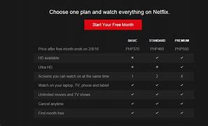 Image result for Netflix Ph Price