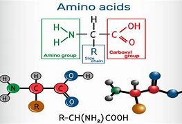 Image result for amino�c9do