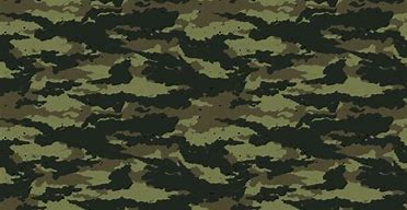 Image result for camouflage