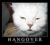 Image result for Funny Hangover Cartoons