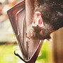 Image result for South American Giant Bat