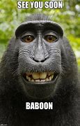 Image result for Funny Baboon Memes