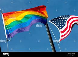Image result for Rainbow USA Flag