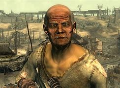 Image result for Fallout Memme's