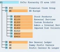 Image result for SAP ECC Hierarchy
