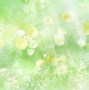 Image result for 8K Flower Wallpaper