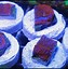 Image result for How to Frag Corals