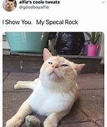 Image result for Positive Cat Meme