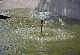 Image result for Patio Fountain for Birds