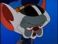 Image result for Pinky and the Brain Smile