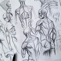 Image result for Anatomy Sketch Art