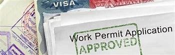 Image result for Employment Visa